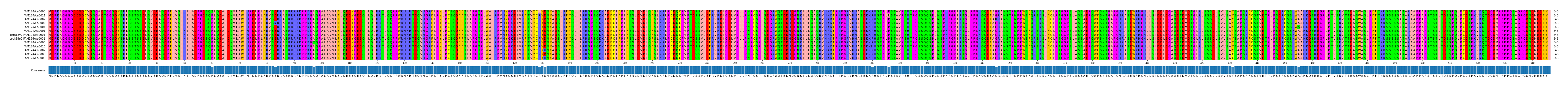 Multiple Alignments (by translate haplotype similarity)