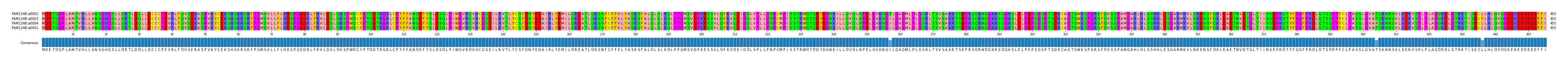 Multiple Alignments (by translate haplotype similarity)