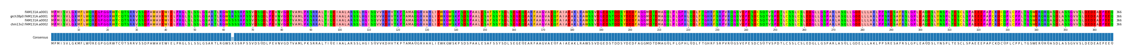 Multiple Alignments (by translate haplotype similarity)