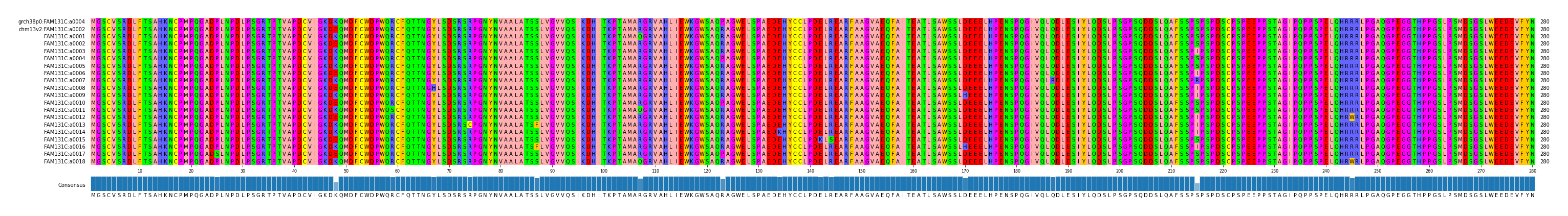 Multiple Alignments (by translate haplotype frequency)