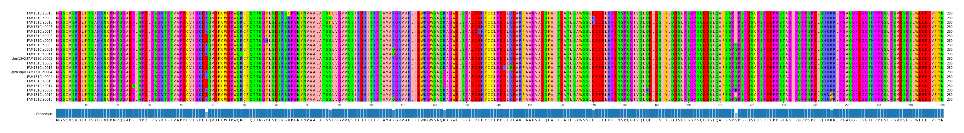 Multiple Alignments (by translate haplotype similarity)