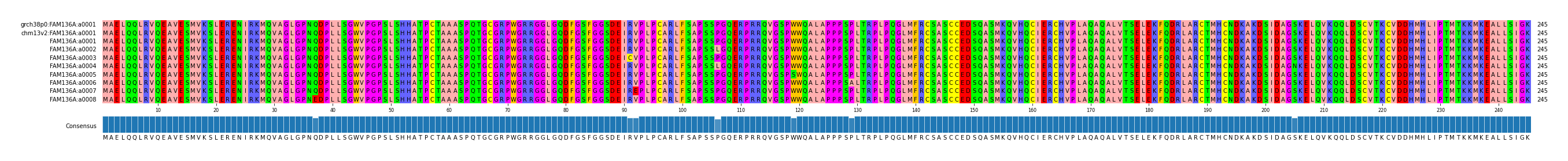 Multiple Alignments (by translate haplotype frequency)