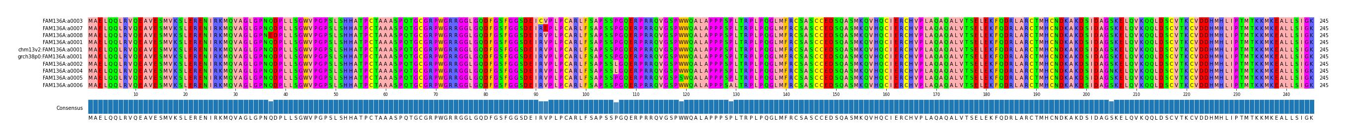 Multiple Alignments (by translate haplotype similarity)