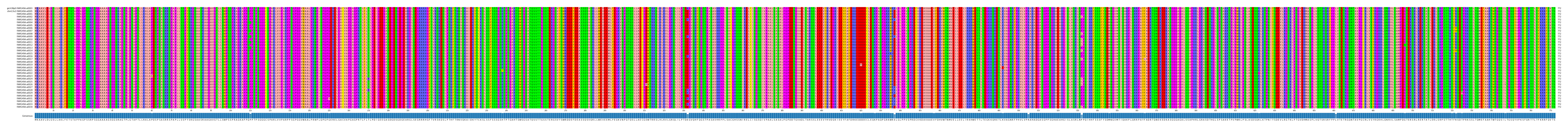 Multiple Alignments (by translate haplotype frequency)