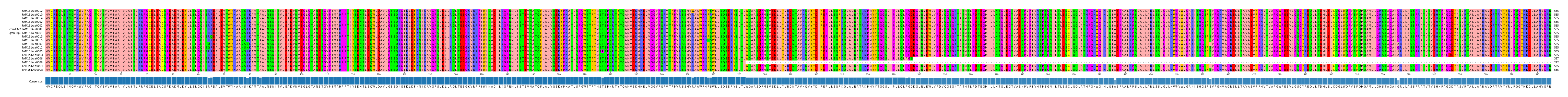 Multiple Alignments (by translate haplotype similarity)