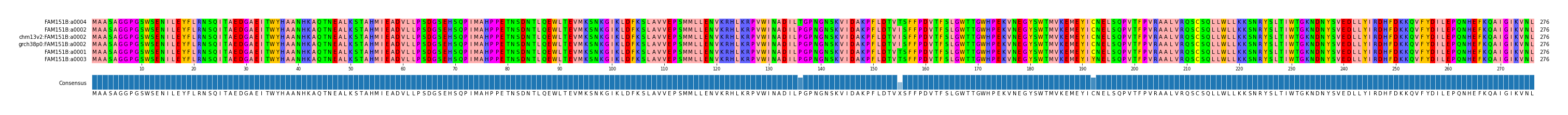 Multiple Alignments (by translate haplotype similarity)
