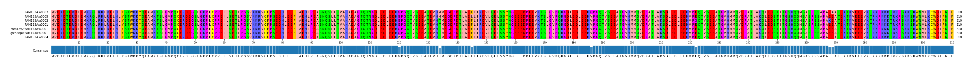 Multiple Alignments (by translate haplotype similarity)