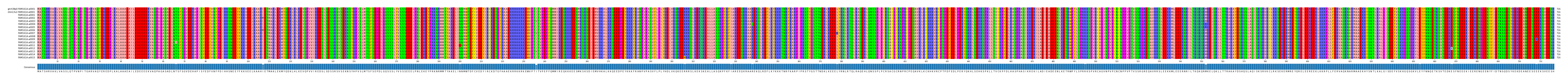 Multiple Alignments (by translate haplotype frequency)