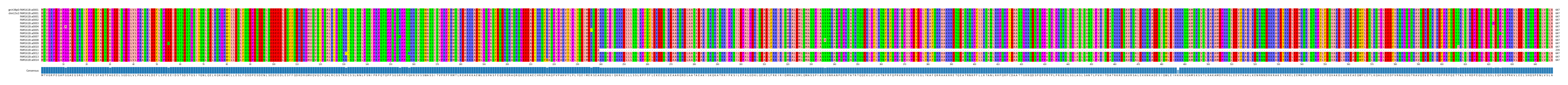 Multiple Alignments (by translate haplotype frequency)
