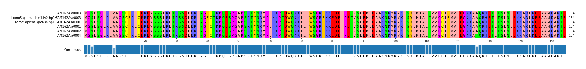 Multiple Alignments (by translate haplotype similarity)