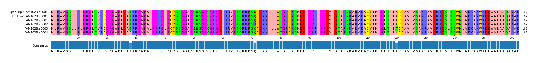 Multiple Alignments (by translate haplotype frequency)