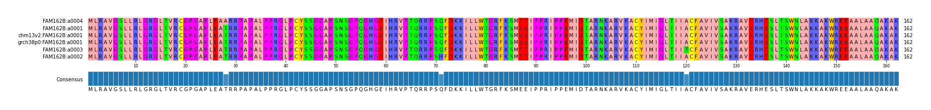 Multiple Alignments (by translate haplotype similarity)