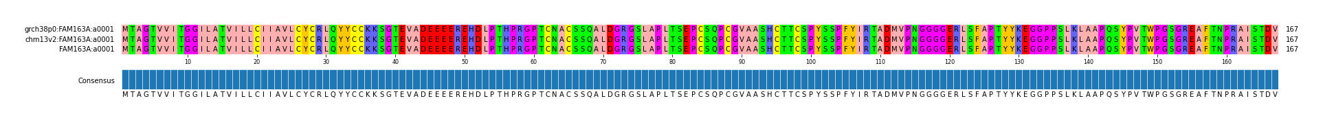 Multiple Alignments (by translate haplotype frequency)