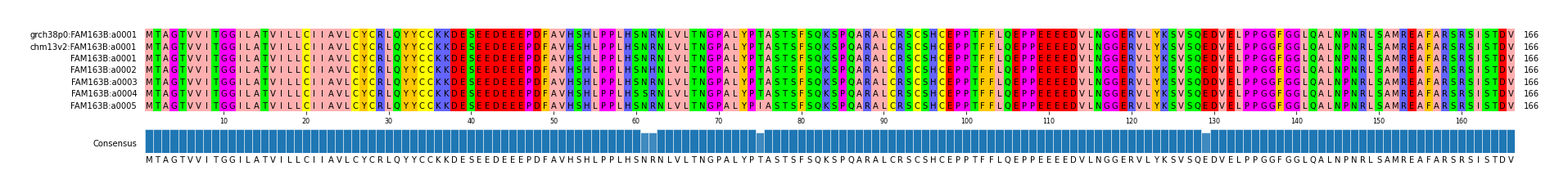 Multiple Alignments (by translate haplotype frequency)