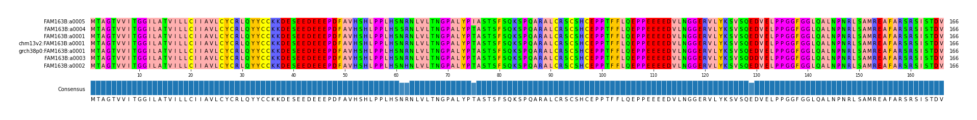Multiple Alignments (by translate haplotype similarity)