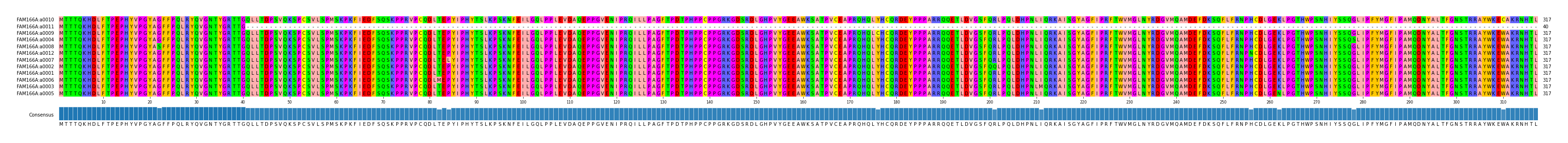 Multiple Alignments (by translate haplotype similarity)