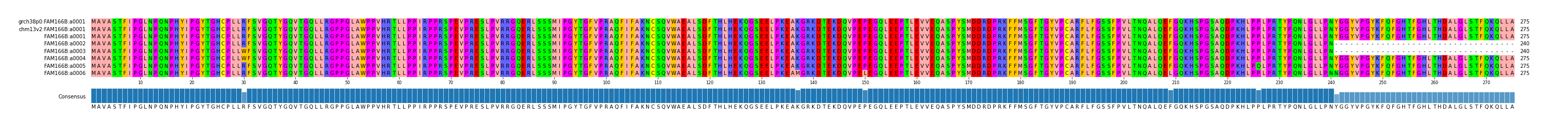 Multiple Alignments (by translate haplotype frequency)
