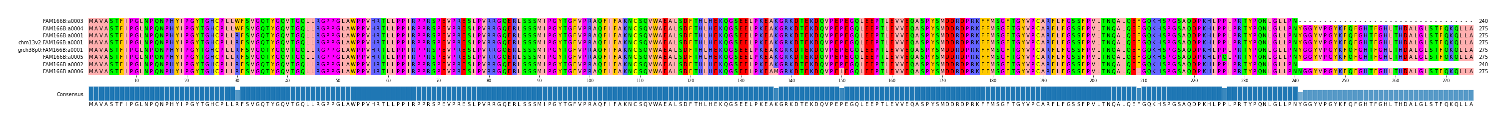 Multiple Alignments (by translate haplotype similarity)