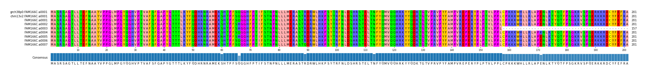 Multiple Alignments (by translate haplotype frequency)