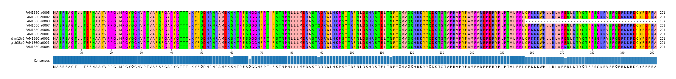 Multiple Alignments (by translate haplotype similarity)