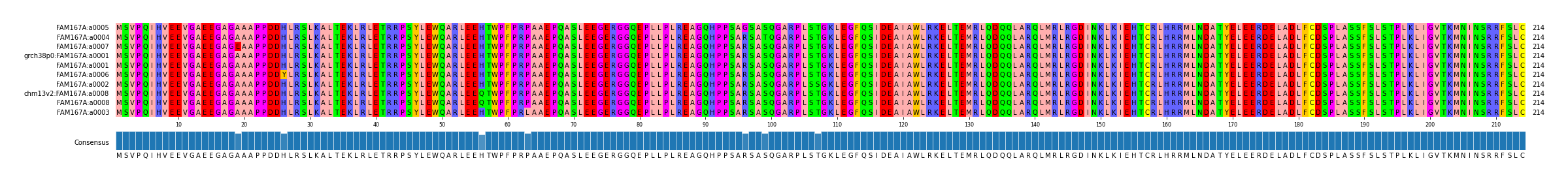 Multiple Alignments (by translate haplotype similarity)