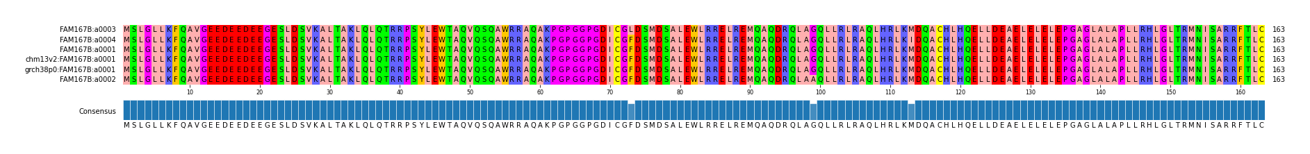 Multiple Alignments (by translate haplotype similarity)