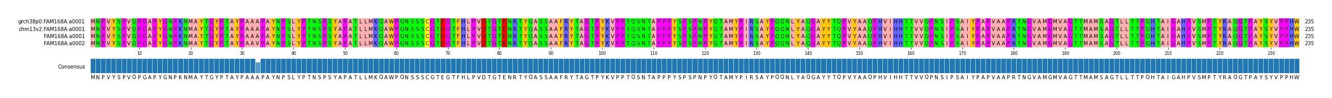 Multiple Alignments (by translate haplotype similarity)