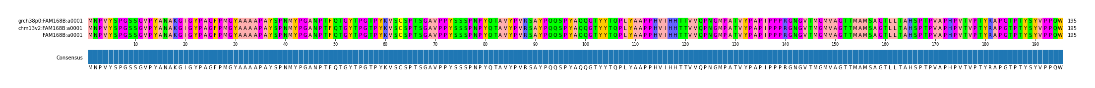 Multiple Alignments (by translate haplotype similarity)