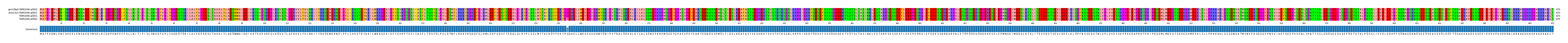 Multiple Alignments (by translate haplotype similarity)