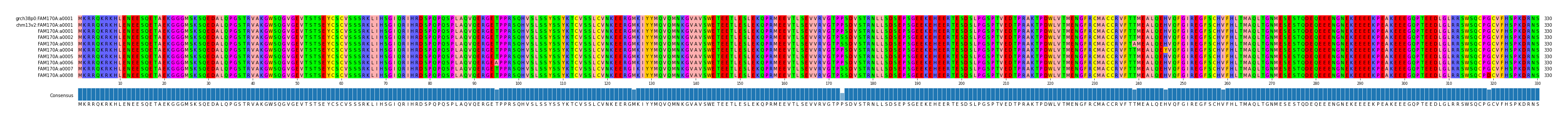 Multiple Alignments (by translate haplotype frequency)