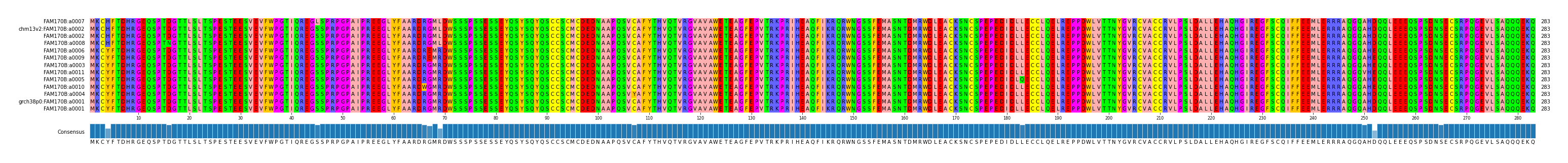 Multiple Alignments (by translate haplotype similarity)