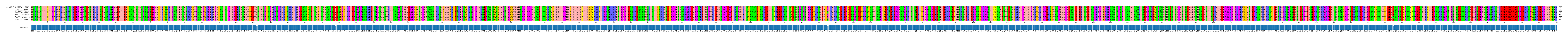 Multiple Alignments (by translate haplotype frequency)
