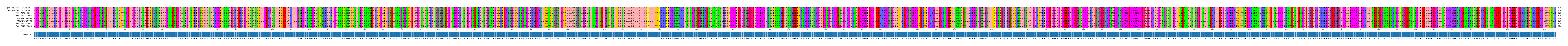 Multiple Alignments (by translate haplotype frequency)