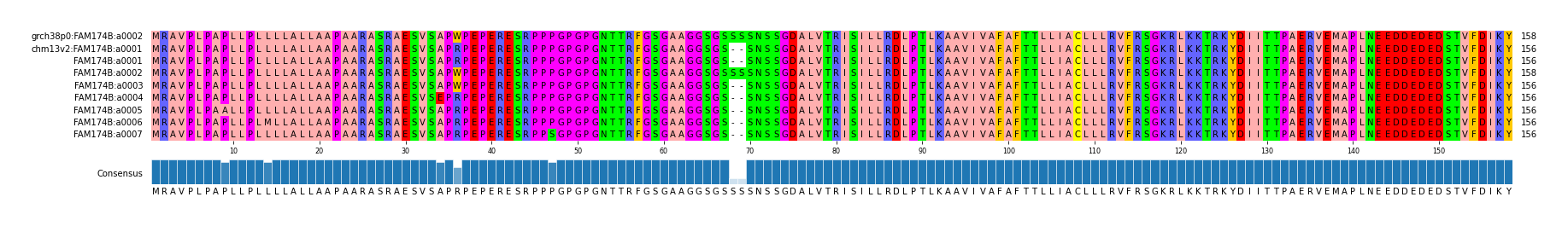Multiple Alignments (by translate haplotype frequency)