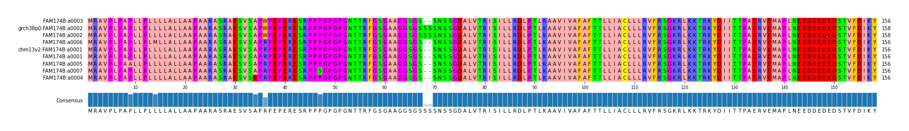Multiple Alignments (by translate haplotype similarity)