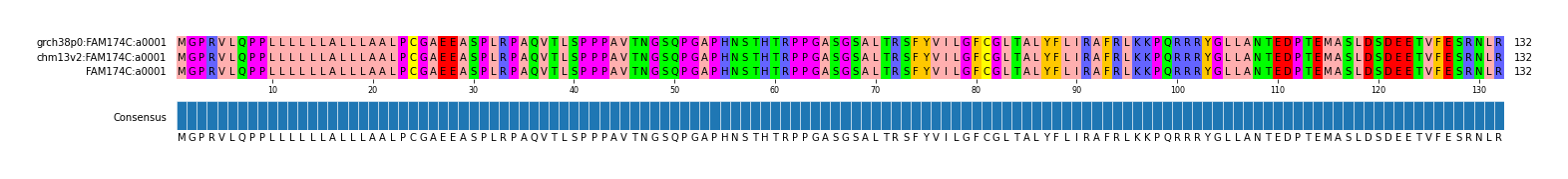 Multiple Alignments (by translate haplotype similarity)
