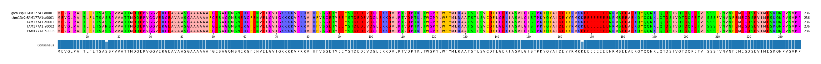 Multiple Alignments (by translate haplotype frequency)