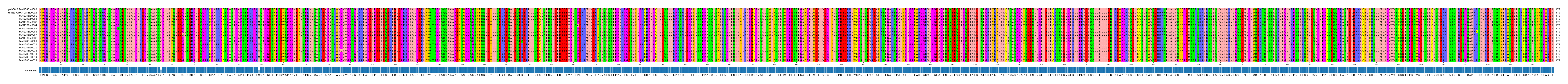 Multiple Alignments (by translate haplotype frequency)