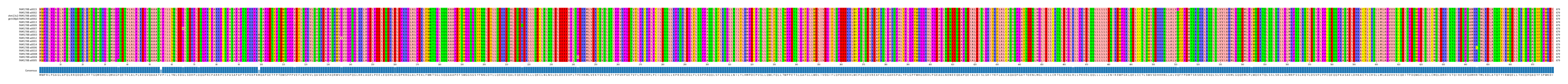 Multiple Alignments (by translate haplotype similarity)