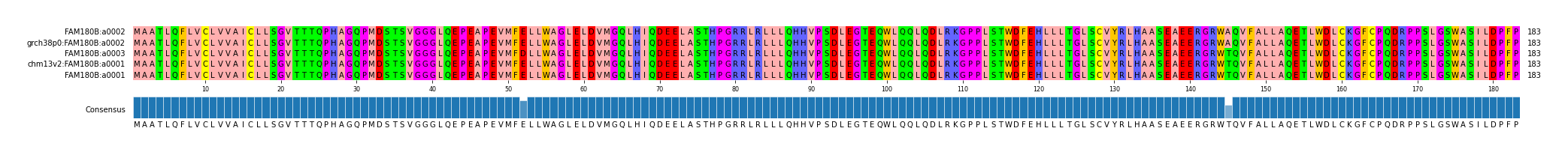 Multiple Alignments (by translate haplotype similarity)