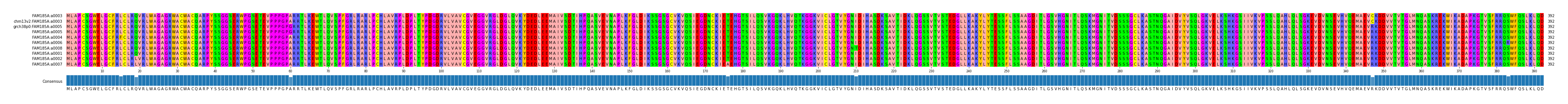 Multiple Alignments (by translate haplotype similarity)