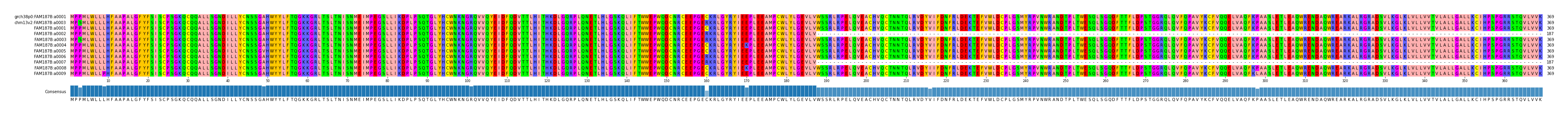 Multiple Alignments (by translate haplotype frequency)