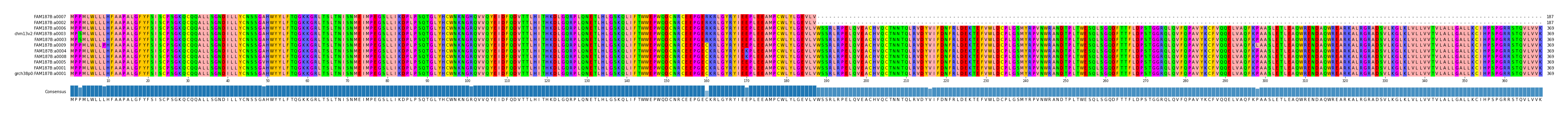 Multiple Alignments (by translate haplotype similarity)