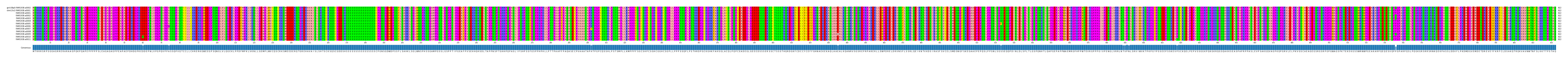 Multiple Alignments (by translate haplotype frequency)
