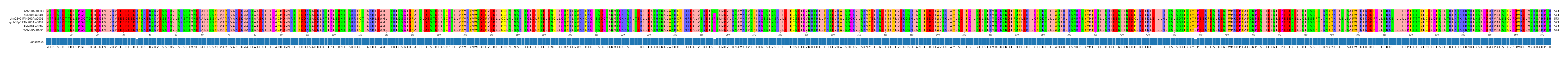 Multiple Alignments (by translate haplotype similarity)