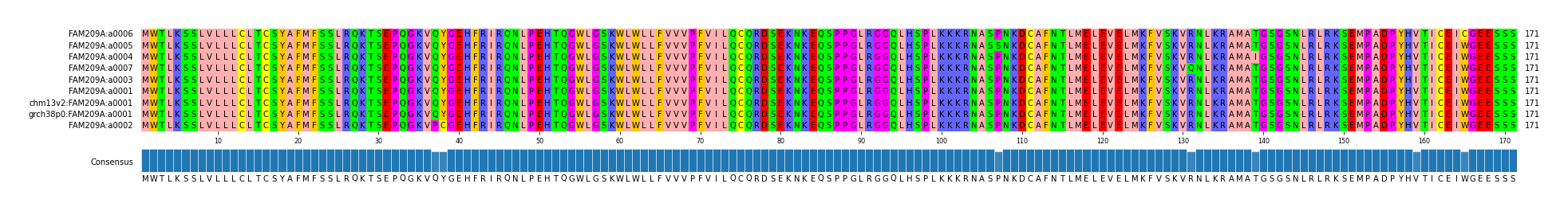 Multiple Alignments (by translate haplotype similarity)