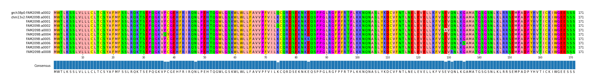 Multiple Alignments (by translate haplotype frequency)