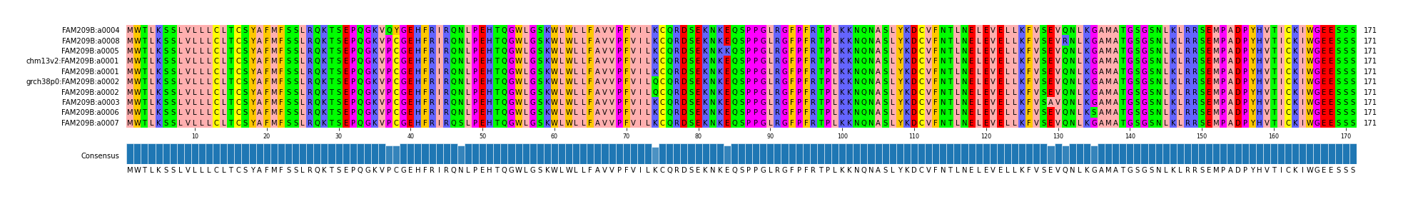 Multiple Alignments (by translate haplotype similarity)