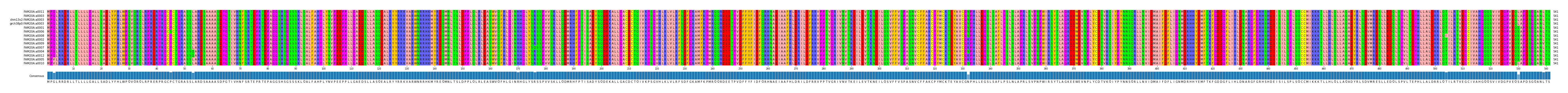 Multiple Alignments (by translate haplotype similarity)