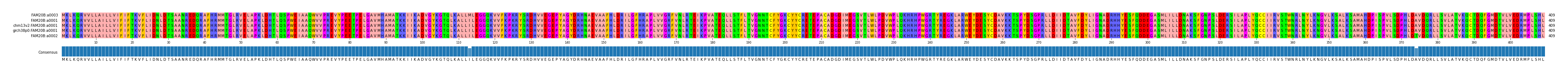 Multiple Alignments (by translate haplotype similarity)